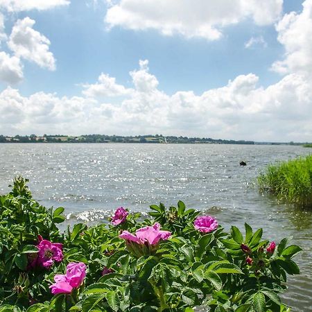 Ferienhof Lassen Apartment Brodersby  Ngoại thất bức ảnh